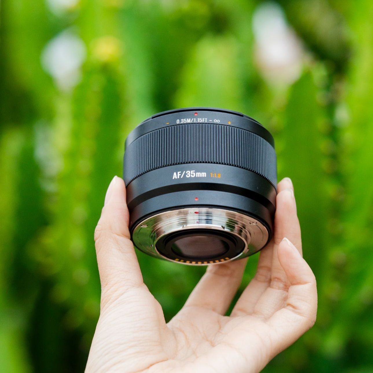 AF35mm F1.8 APS-C